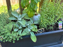 Plant Self Watering Globes - Terracotta Watering Spikes - Slow Release Olla Pots - Holds 16 oz - Drip Irrigiation Olla System by GreenHaven Gardens