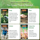Created By Nature Hummingbird & Butterfly Wildflower Seed Mix, 18 Varieties, 60,000 Wildflower Seeds by GreenHaven Gardens