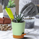 4 inch Small Plant Pots for Outdoor Indoor Plants, 5 Pack Planters with Drainage Holes and Tray, Small Self Watering Pots for Succulent,Cactus, Aloe and Other Plants (Green) by GreenHaven Gardens