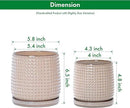 D'vine Dev 6 Inch 4 Inch Ceramic Indoor Planter Pots with Drainage Hole and Saucer, Beaded Design Flower Pots, Set of 2, Light Brown, 27-D-U-4 by GreenHaven Gardens