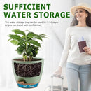 Plant Pots 12/10/9 Inch Self Watering Pots, Set of 3 Plastic Planters with Drainage Holes and Saucers,Plastic Flower Pots,Nursery Planting Pot for Indoor Out Door Plants(Green) by GreenHaven Gardens