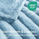 BEDELITE Faux Rabbit Fur Blanket, Luxurious 3D Striped Spring Blanket for Decor & Gift, Soft and Warm Plush Fluffy Faux Fur Throw Blanket All Seasons Suitable, (Light Blue, 60"x 80") by CozyNest Decor