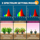 Barrina Plant Stand with Grow Lights, 6-Tier Plant Shelf with 5-Pack 50W Full Spectrum Ultra-Thin Grow Light Panel, 3 Modes, Auto Timer, Ladder Flower Pot Stand Display Rack 15.7"L x 11.8"W x 70.9"H by GreenHaven Gardens