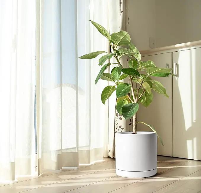 D'vine Dev 12 Inch Ceramic Planter Pot with Drainage Hole and Saucer, Indoor Cylinder Round Planter Pot, White, 94-O-F-1, photo 6 of 6