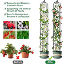 Garden Obelisk Trellis for Climbing Plants Outdoor 6.2 Ft Rose Bush Round Trellis for Pots Rustproof Metal Plant Flower Trellises for Clematis Vine Jasmine Support Outdoor Indoor (Black, 6.2ft) by GreenHaven Gardens