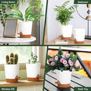 4 inch Small Plant Pots for Outdoor Indoor Plants, 5 Pack Planters with Drainage Holes and Tray, Small Self Watering Pots for Succulent,Cactus, Aloe and Other Plants (White) by GreenHaven Gardens