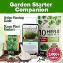 HOME GROWN 10 Herb Seeds for Planting 3,000+ Non-GMO Heirloom Seeds | Extra Large Variety Pack Herb Kit – Indoor Outdoor & Hydroponic | Culinary Seed Set | Grow Your Own Herbs | Gift for Beginners by GreenHaven Gardens