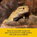 Zilla QuickBuild Reptile 65 Gallon Glass Terrarium Habitat with Sliding Door For Geckos, Snakes, Lizards, Frogs, Turtles, and Tortoises, 48" x 18" x 18" by CozyNest Decor