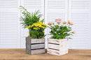 Wood Planter Box with Wine Crate Styled, 5 Inch Square, Whitewash, Plastic Liner, Garden Centerpiece Display, Wedding Flowers Holder, Home and Venue Decor (5x5 Wine Crate Set of 4, Whitewash) by GreenHaven Gardens