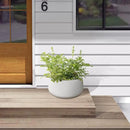 Kante 19.6" Dia Round Concrete Planter, Outdoor Indoor Garden Plant Pots with Drainage Hole and Rubber Plug, Modern Curvaceous Design, Pure White by GreenHaven Gardens