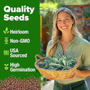 HOME GROWN 𝗨𝗦𝗔 𝗣𝗥𝗘𝗠𝗜𝗨𝗠 White Sage Seeds 323 Pack 𝗡𝗢𝗡-𝗚𝗠𝗢 Heirloom Seeds - Grow Aromatic Sage Plants for Your Herb Seeds Garden with Sage for Planting Outdoor or Indoor (Salvia apiana) by GreenHaven Gardens