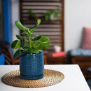D'vine Dev 4 Inch Ceramic Beaded Stoneware Planter Pot - Flower Pot with Drainage Holes and Saucers for Indoor Succulent Plants or Flowers, Midnight Blue, 27-C-Z-3 by GreenHaven Gardens