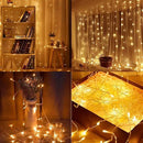 2 Pack Battery Operated String Lights with Remote Timer Waterproof 8 Modes 16.4ft 50 LED String Lights for Bedroom,Garden,Party,Xmas Tree Indoor Outdoor Decorations, Warm White by GreenHaven Gardens