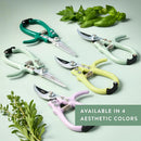 Modern Sprout Pruning Shears - Herb Snipping Scissors- Lightweight Gardening Tools W/Easy Lock - Flower Cutter Garden Shears - Carbon Steel Blade + Reusable Holster (Sage, 1-Pack) by GreenHaven Gardens
