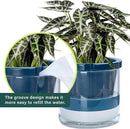 D'vine Dev 10 Inch Design Self Watering Planter for Indoor Plants, Blue Terracotta Pot with Cylinder Glass Cup, 37-X-D-4 by GreenHaven Gardens