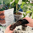Molly's Aroid Mix - Premium Soilless Chunky Potting Mix for Tropical and Indoor Plants - Contains Orchiata Bark, Coco Chips, Worm Castings, Horticultural Charcoal, Mycorrhizae 5 Dry Quarts by GreenHaven Gardens