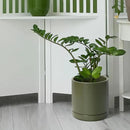 D'vine Dev 8 Inch Ceramic Planter Pot with Drainage Hole and Saucer, Indoor Cylinder Round Planter Pot, Olive, 94-O-D-J by GreenHaven Gardens