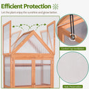 MCombo Greenhouse Cold Frame Wooden Garden Raised Flower Planter Shelf with Hard Translucent PC Protection, 0800 (Orange) by GreenHaven Gardens