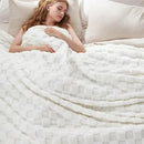 Bedsure GentleSoft King Size Blanket for Bed - Super Soft Cozy Blankets for Women Men Girls, Large Fuzzy Fleece Throw for Bedroom Decor, White,108x90 Inches by CozyNest Decor