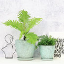8 Inch + 6 Inch Plant Pots for Indoor Plants, Ceramic Planter with Drainage Hole and Saucers, Garden Pots for Succulent, Orchid, and Flower, Set of 2 by CozyNest Decor