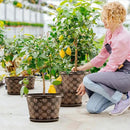 16 Inch Planter Pots for Plants, Plastic Large Flower Pots Indoor Outdoor, 4 Pack Resin Plant Pot with Drainage & Saucer, Retro Decorative Garden Pot with Removable Trays for House by CozyNest Decor