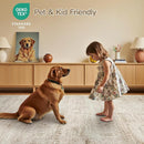 Lofus 5x7 Area Rug for Living Room,Beige Washable Area Rugs with Non-Slip Backing,Soft Neutral Carpets for Bedroom Dining Room Home Office Indoor Nursery by TinyTreasures Baby Boutique