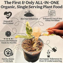 The All-in-One Complete Organic Plant Food, Indoor Plant Food for Houseplants, Organic Fertilizer for Vegetable Gardens, 3lb =75 Formulated Servings Feeds 150 gal Instantly and Slow Release by GreenHaven Gardens