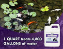 KoiWorx Defoamer - 32oz- Removes Foam from Decorative and Ornamental Ponds, Safe for Koi by GreenHaven Gardens