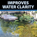 CrystalClear Barley Extract Water Garden & Fountain Clarifier, Natural Liquid Concentrate to Treat Cloudy Ponds, Koi Fish, Plant & Pet Safe, 1 Gallon by GreenHaven Gardens