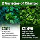 HOME GROWN Cilantro Seeds 250 Calypso & 250 Santo Cilantro for Planting Indoors, Hydroponics or Aerogarden - Heirloom, Non-GMO, Santo Plant, for Your Indoor Herb Garden by GreenHaven Gardens