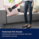 Electrolux Ergorapido Pet Cordless 2-in-1 Vacuum Cleaner with Motorized Pet Nozzle for Easy Pet Hair Removal, 48-Minute Run Time, 2 Power Modes, Chili Red by CozyNest Decor