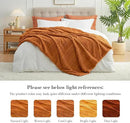 Amélie Home Luxury Striped Faux Fur Throw Blanket for Couch, Embossed Split Fur Cozy Fuzzy Fluffy Luxurious Soft Plush Sofa Chair Bed Gift Blankets for Women Men Wife Friend, 55"x70", Brown by CozyNest Decor