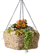 SuperMoss (29249D MossWeave Hanging Basket | Outdoor Hanging Planter with Moss | Decorative Plant Hanger for Porch, Balcony, Garden & Home Décor, Square, Small 10.5” D, Blond by GreenHaven Gardens
