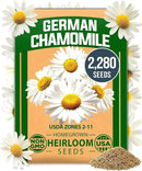 HOME GROWN 𝗨𝗦𝗔 𝗣𝗥𝗘𝗠𝗜𝗨𝗠 German Chamomile Seed Pack – 2,280 𝗡𝗢𝗡-𝗚𝗠𝗢 Heirloom Seeds for Planting for Sustainable Gardens and Soothing Medicinal Herbal Teas (Matricaria chamomilla) by GreenHaven Gardens