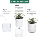 Phoenix Vine 4 Inch Self Watering Planter, White Terracotta Clay Pot with Glass Reservoir for Indoor Plants, Herbs, Flowers, Set of 2, 52-B-E-2 by GreenHaven Gardens