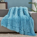 GONAAP Fuzzy Faux Fur Throw Blanket Twin Size Sky Blue Super Soft Cozy Plush Fuzzy Shaggy Blanket for Couch Sofa Bed (Sky Blue, Twin(60"x80")) by CozyNest Decor