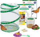 Insect Lore Butterfly Garden with Live Cup of Caterpillars | English and Spanish STEM Activity Journals | 5 Painted Lady Butterfly Baby Caterpillars and Mesh Habitat by TinyTreasures Baby Boutique