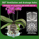 REMIAWY Orchid Pot, 8 Pack Orchid Pots with Holes and Saucers, 5.5 Inch Clear Plastic Flower Planters for Repotting Indoor Outdoor, Breathable Slotted Nursery Planter by GreenHaven Gardens