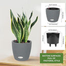 Dexceder 9x8 Inches Rattan Self Watering Planter Indoor Outdoor, Inner Pot Design, Thickened Table Flower Plant Pot with Water Level Indicator (Deep Gray) by GreenHaven Gardens