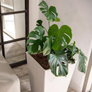 XBrand Modern 28-Inch Square Planter, Modern Tapered Planter Perfect for Indoor & Outdoor, Patio Décor, Set of 2 by CozyNest Decor