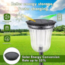 Outside Lights for Yard 6 Pack, Super Bright Solar Pathway Lights Outdoor Waterproof,Up to 14 Hrs Auto On/Off Solar Garden Lights, Solar Powered Landscape Lighting for Path Yard Garden Walkway by GreenHaven Gardens