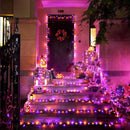 JMEXSUSS 33 FT 100 LED Halloween String Lights Indoor, Orange and Purple Halloween Lights Clear Wire, 8 Modes Outdoor Waterproof Christmas String Light Plug in by GreenHaven Gardens