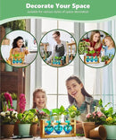 Nacome Plant Terrarium for Office Decor: Birthday Gifts for Plant Lovers Women Mom Wife - Wooden Stand Tabletop Planter 3 Bulb Glass Vase Heart Shaped for Hydroponics Indoor Home by CozyNest Decor