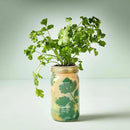 Modern Sprout Mason Garden Jar - Self-Watering Hydroponics Growing System Kit with Organic Herb Seeds - Jar Planter for Indoor Herb Garden - Seed Starter Kit - Home Decor & Gifting - Cilantro by GreenHaven Gardens