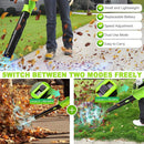 2025 Upgrade Leaf Blower, Leaf Blower Cordless with 2 * 2.6AH Batteries and Fast Charger, 450CFM &150MPH and 2 Speed Mode, Lightweight Electric Leaf Blowers for Lawn,Yard, Leaves, Dust,Snow Care by GreenHaven Gardens