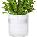 Phoenix Vine 8 Inch Self Watering Planter, White Terracotta Clay Pot with Glass Reservoir for Indoor Plants, Herbs, Flowers, Set of 1, 52-B-H-1 by GreenHaven Gardens