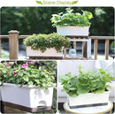 Window Box Planter 8 Pcs, 17 Inches Rectangle Flower Pots with Drainage Holes and Trays, Vegetable Planters for Windowsill Patio Garden Balcony Home Porch Yard Indoor Outdoor (White) by GreenHaven Gardens