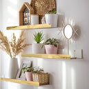 2 Pack 24 Inch Gold Reflective Acrylic Shelves, Gold Foating Shelves, Modern Sunglasses Essential Oil Picture Ledge Display Toy Storage Shelf by TinyTreasures Baby Boutique