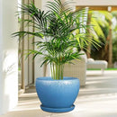Ceramic Planter Pot 10 Inch - Ceramic Plant Pot for Indoor Outdoor Plants, Large Flower Pot with Drainage Hole and Saucer, Blue by GreenHaven Gardens