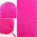 THARAHT Hot Pink Ostrich Feathers 24pcs Natural Bulk 10-12Inch 25cm-30cm for Crafts Wedding Party Centerpieces Easter Gatsbi and Home Decoration Feathers by CozyNest Decor